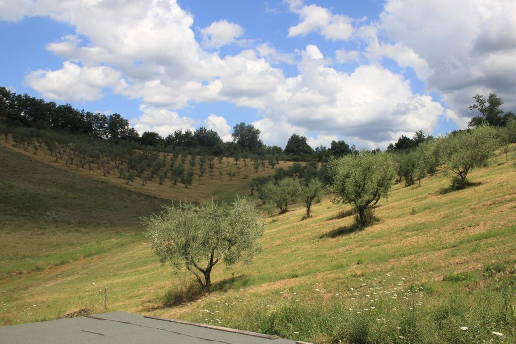 Agriturismo Le Buche Di Viesca Реджело Екстериор снимка